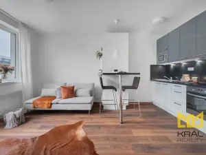 Pronájem bytu 1+kk, Praha - Hostivař, Rižská, 35 m2