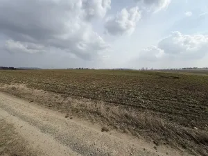Prodej pole, Toužim - Kojšovice, 25962 m2