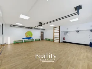 Prodej obchodního prostoru, Jihlava, Buková, 234 m2