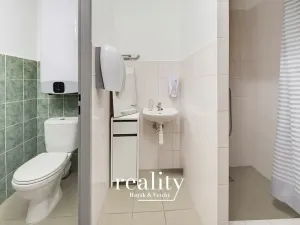 Prodej obchodního prostoru, Jihlava, Buková, 234 m2