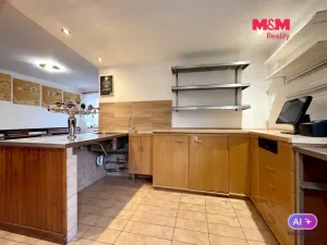 Prodej rodinného domu, Velké Žernoseky, 438 m2