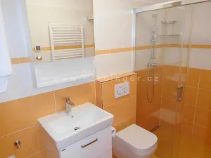 Pronájem bytu 1+kk, Šlapanice, Riegrova, 23 m2