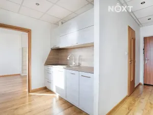 Pronájem bytu 1+1, Žatec, Husova, 36 m2
