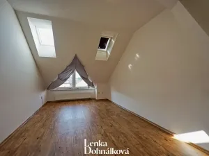Pronájem bytu 3+kk, Hodonín, 115 m2