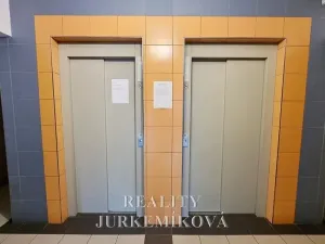 Pronájem bytu 2+kk, České Budějovice, Labská, 44 m2