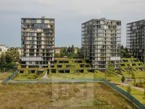Pronájem bytu 2+kk, Praha - Žižkov, Pitterova, 63 m2