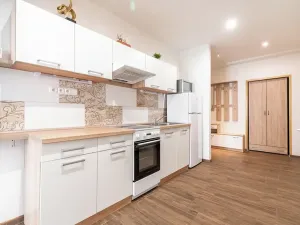 Prodej bytu 1+kk, Brno, Kotlářská, 41 m2