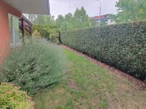 Pronájem bytu 2+kk, Plzeň, Znojemská, 66 m2