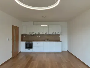 Pronájem bytu 2+kk, České Budějovice, Františka Jelena, 58 m2
