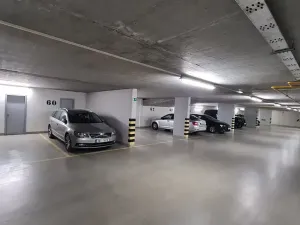 Pronájem garážového stání, Praha - Podolí, Nedvědovo náměstí, 20 m2