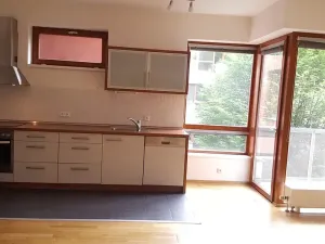 Pronájem bytu 2+kk, Praha - Podolí, Nedvědovo náměstí, 51 m2