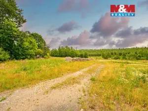 Prodej pozemku pro bydlení, Dolní Nivy, 10168 m2
