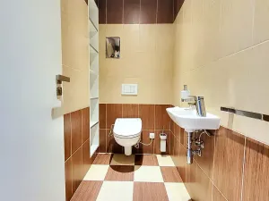 Pronájem bytu 2+kk, Brno, Palackého třída, 60 m2