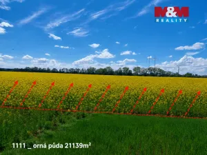 Prodej pole, Pňov-Předhradí - Pňov, 142115 m2