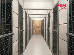 Pronájem bytu 1+kk, Praha - Vršovice, Petrohradská, 30 m2
