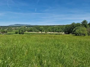 Prodej pozemku pro bydlení, Hrubá Skála, 3894 m2