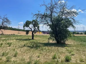 Prodej pozemku pro bydlení, Dobrovice, Na Spravedlnosti, 1090 m2