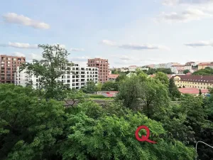 Pronájem bytu 1+1, Praha - Vinohrady, Fričova, 46 m2