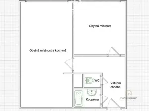 Pronájem bytu 2+kk, Plzeň - Severní Předměstí, Bzenecká, 47 m2