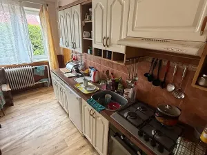 Prodej podílu vícegeneračního domu, Drmoul, Luční, 303 m2