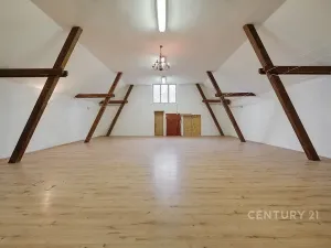 Prodej komerční nemovitosti, Horní Cerekev, 460 m2