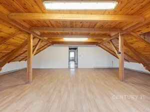 Prodej komerční nemovitosti, Horní Cerekev, 460 m2