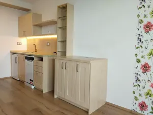 Pronájem bytu 2+kk, Plzeň, K Lutové, 51 m2