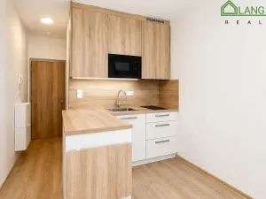 Pronájem bytu 1+kk, Brno, Francouzská, 17 m2