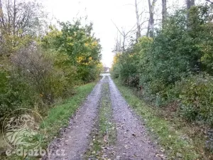 Dražba zemědělského objektu, Chroustovice, 522 m2