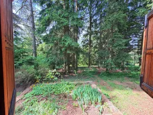 Prodej chaty, Borová, 53 m2