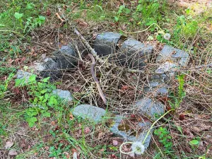Prodej chaty, Borová, 53 m2