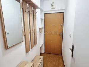 Pronájem bytu 1+kk, Praha - Hloubětín, Šestajovická, 30 m2
