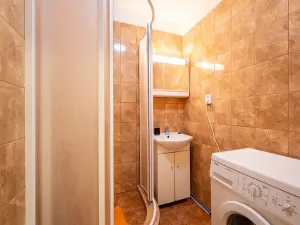 Prodej bytu 2+1, Brno, Stará osada, 68 m2