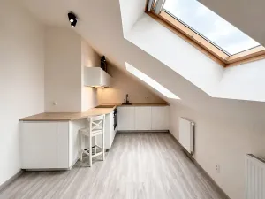 Prodej bytu 2+kk, Praha - Vršovice, Košická, 41 m2