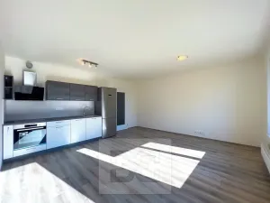 Pronájem bytu 1+kk, Praha - Čimice, Hrašeho, 46 m2