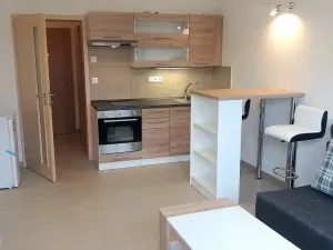 Pronájem bytu 1+kk, Brno, Hostinského, 28 m2