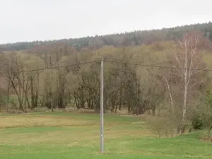 Dražba lesa, Ješetice, 8991 m2