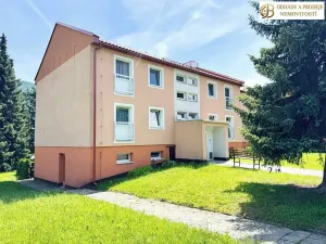 Prodej bytu 3+1, Česká Ves, Jánského, 64 m2
