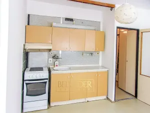 Prodej bytu 1+1, Ústí nad Labem, Družstevní, 37 m2