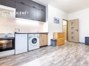 Pronájem bytu 1+kk, Teplice, Duchcovská, 19 m2