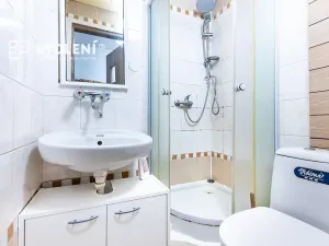 Pronájem bytu 1+kk, Teplice, Duchcovská, 19 m2