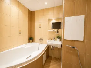 Pronájem bytu 2+1, Karlovy Vary, Plešivecká, 52 m2