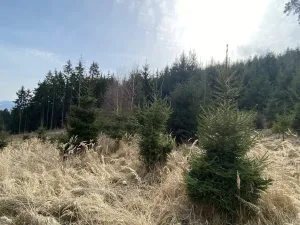 Prodej louky, Městečko Trnávka - Lázy, 1410 m2