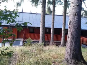 Pronájem bytu 2+kk, Železná Ruda, 37 m2