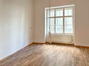Pronájem bytu 6+kk a větší, Brno, Křížová, 235 m2