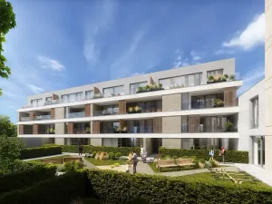 Prodej bytu 4+kk, Opava, Husova, 95 m2