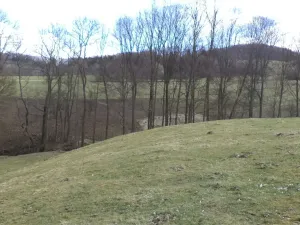 Prodej pole, Heřmanov - Fojtovice, 4633 m2