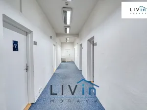 Pronájem kanceláře, Olomouc, Karolíny Světlé, 20 m2