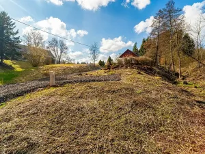 Prodej pozemku pro bydlení, Svojek, 703 m2