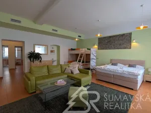 Prodej obchodního prostoru, Kašperské Hory, Náměstí, 161 m2